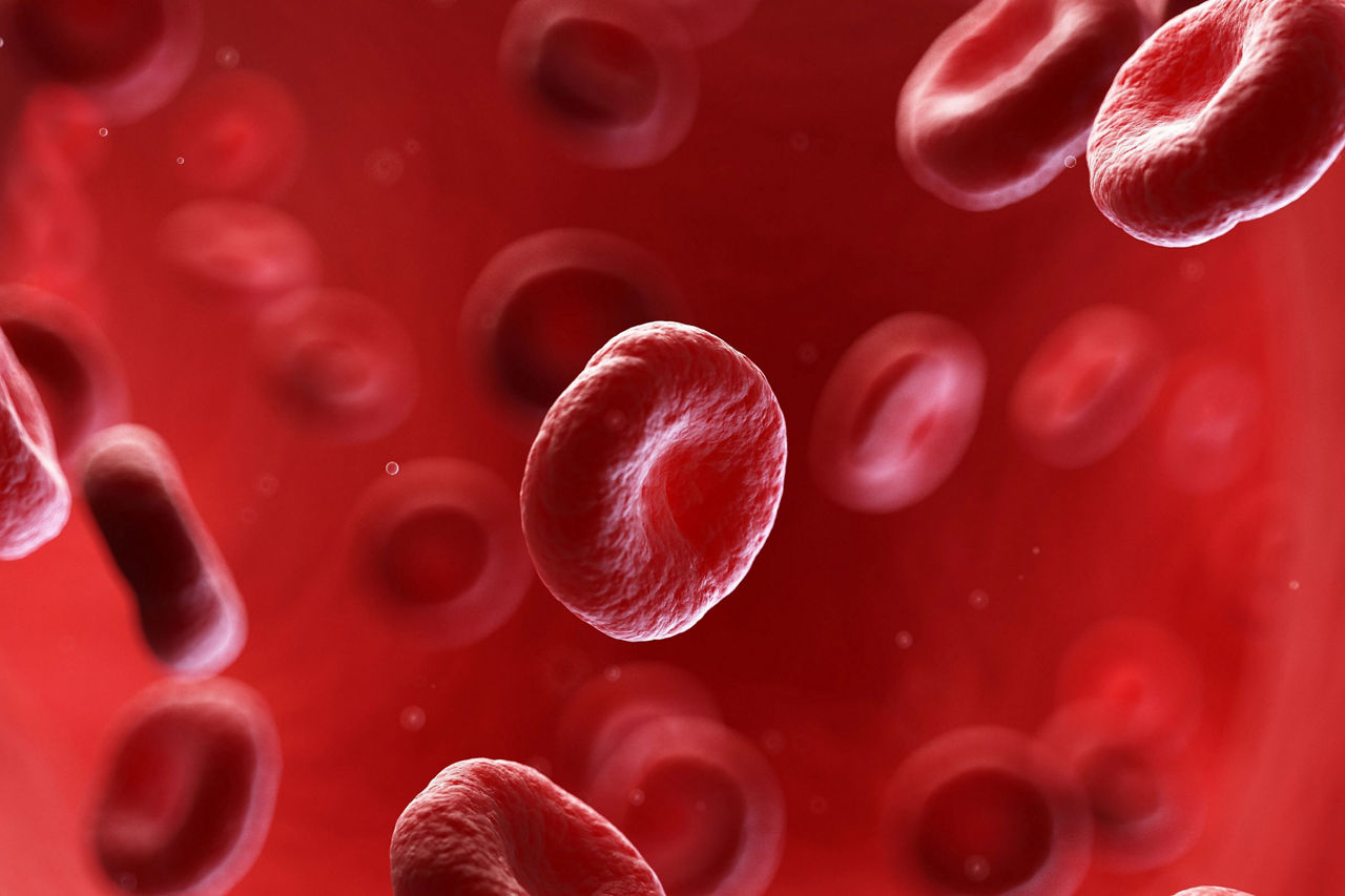 Blood Cells